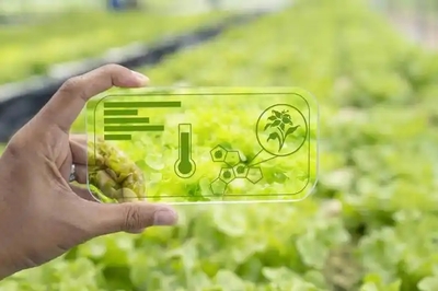 智能農(nóng)業(yè)管理 人工智能如何賦能現(xiàn)代農(nóng)業(yè)的精細(xì)化發(fā)展